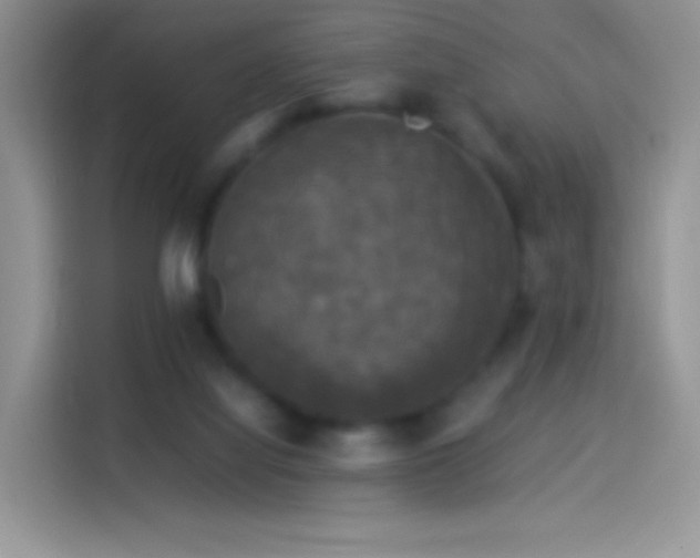 X0000114090068200910131305