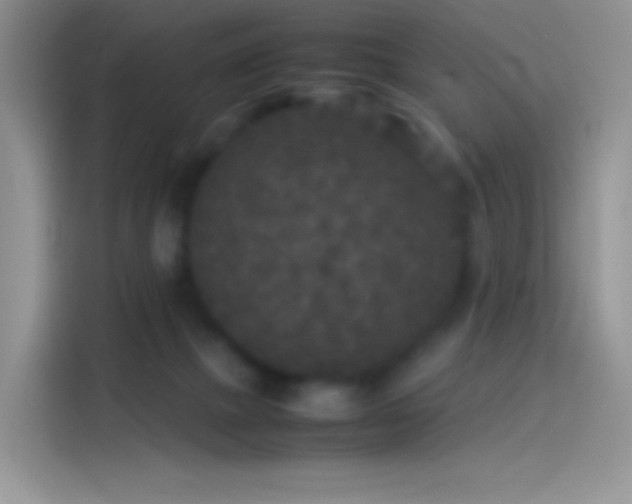 X0000114090073200910131305