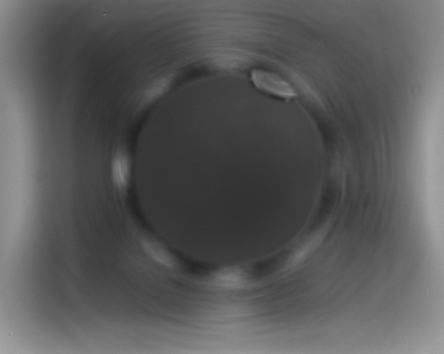 X0000114090076200910131305