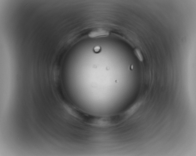 X0000114090078200910131305