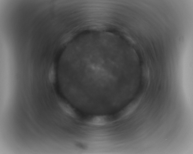 X0000114090080200910131305