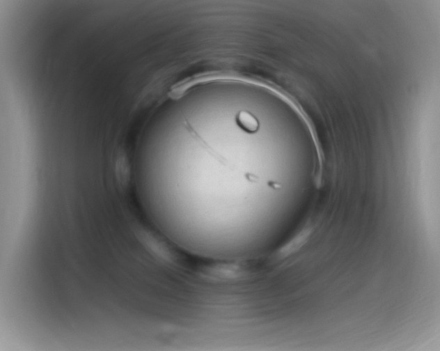 X0000114090086200910131305