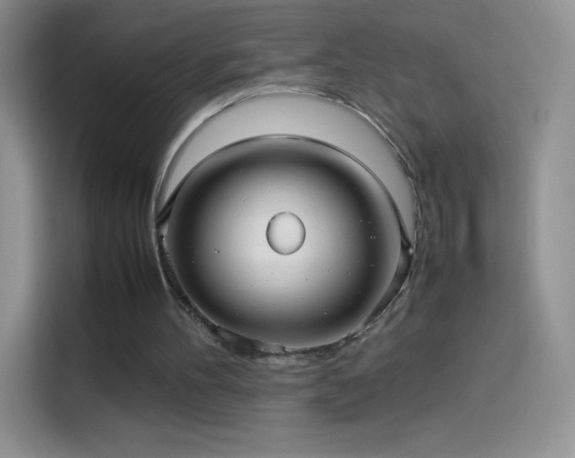 X0000114090100200910131305