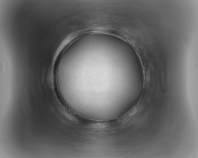 X0000114090102200910131305