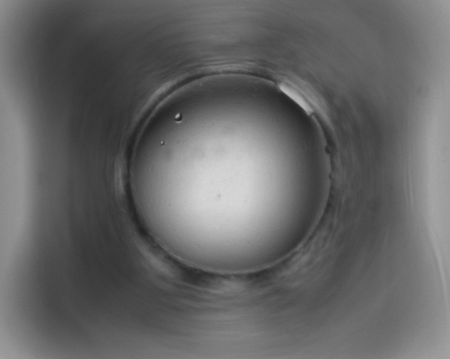X0000114090107200910131304