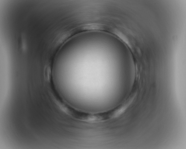 X0000114090109200910131304