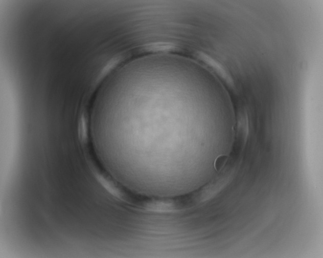 X0000114090110200910131304