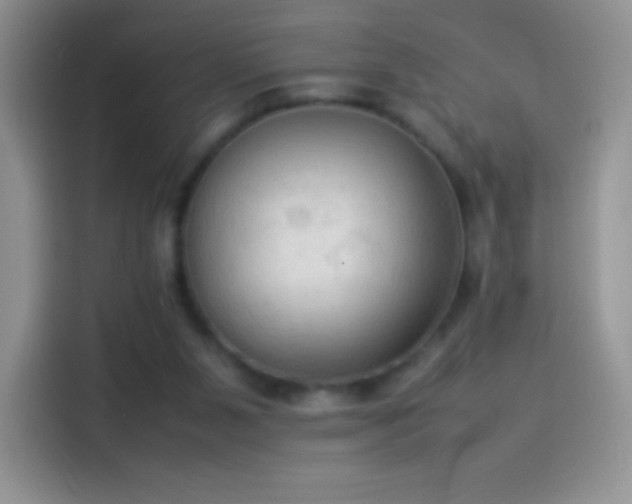 X0000114090111200910131304