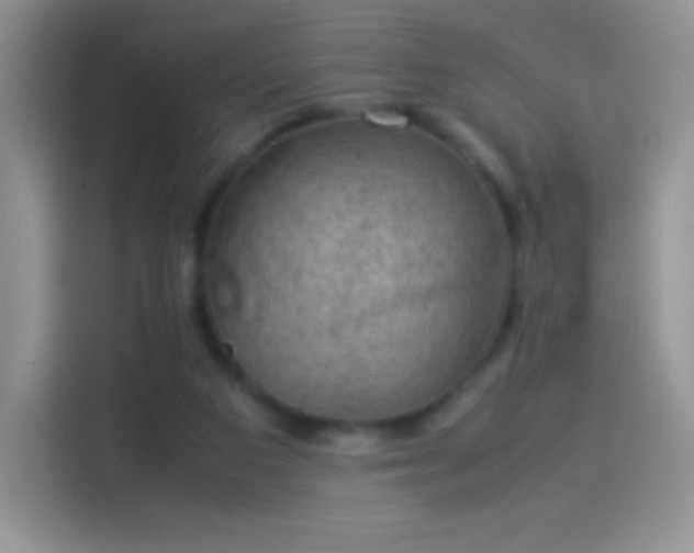 X0000114090113200910131304