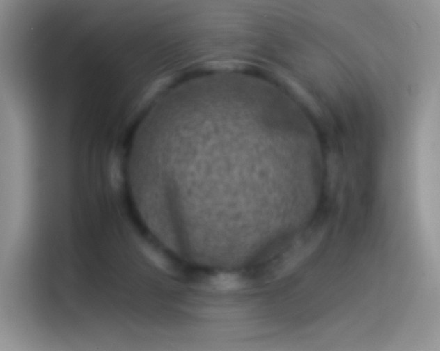 X0000114090114200910131304