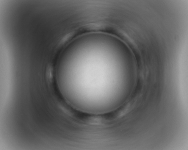 X0000114090115200910131304