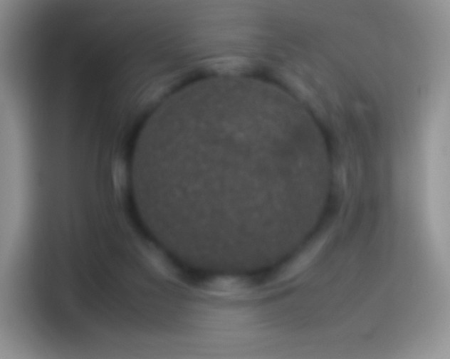 X0000114090117200910131304