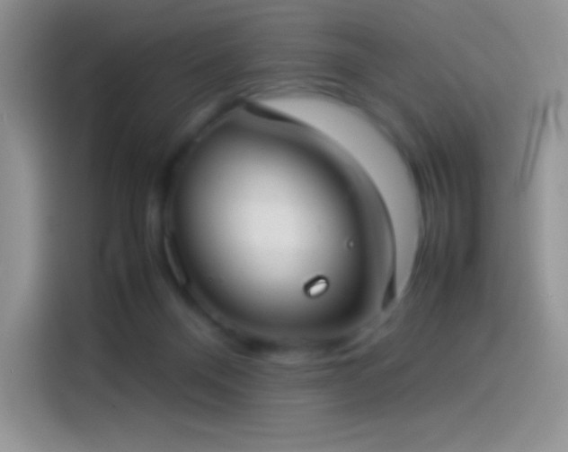 X0000114090120200910131304
