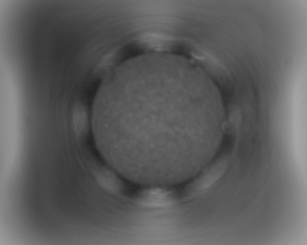 X0000114090121200910131304