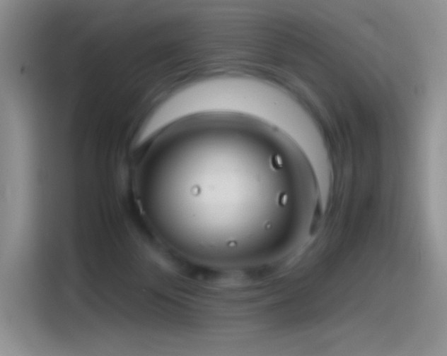 X0000114090124200910131304