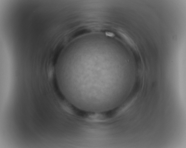 X0000114090125200910131304
