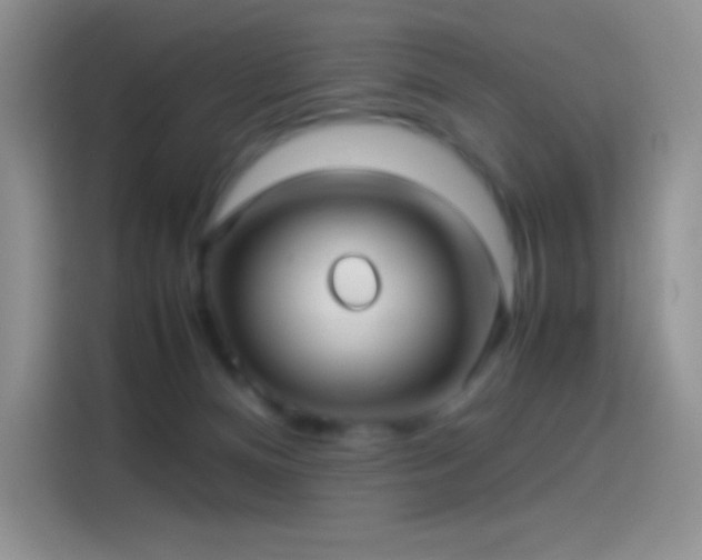 X0000114090128200910131304