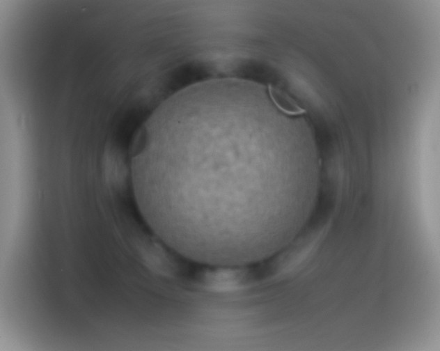 X0000114090129200910131304