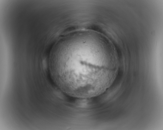 X0000114090131200910131304