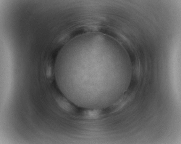X0000114090134200910131304