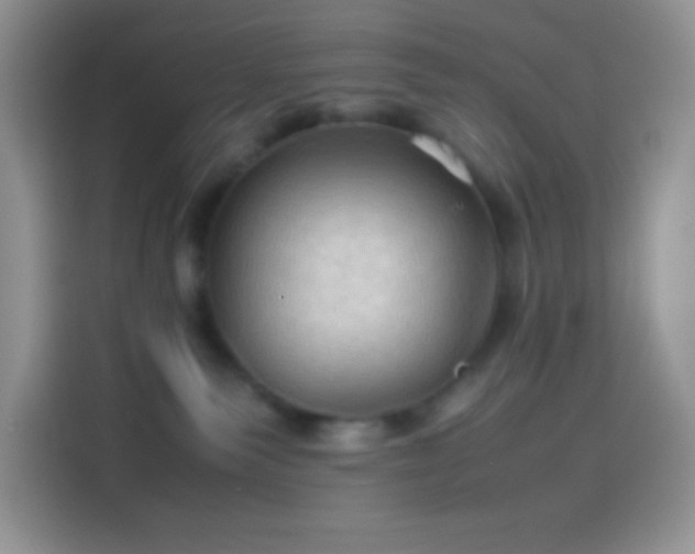 X0000114090135200910131304