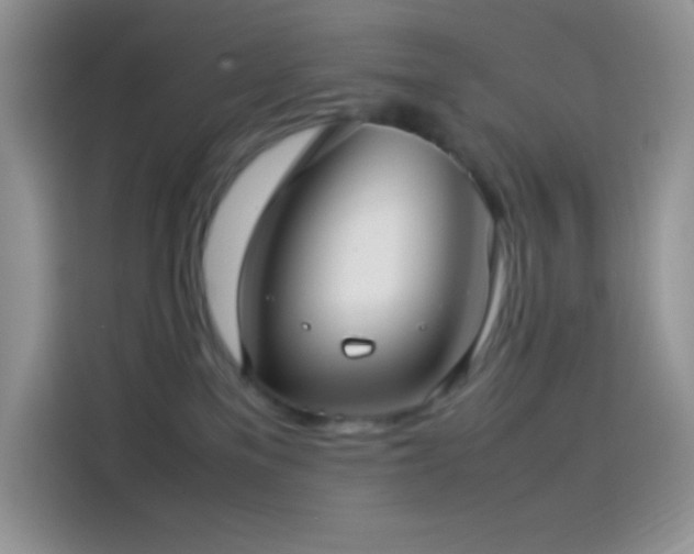 X0000114090137200910131304