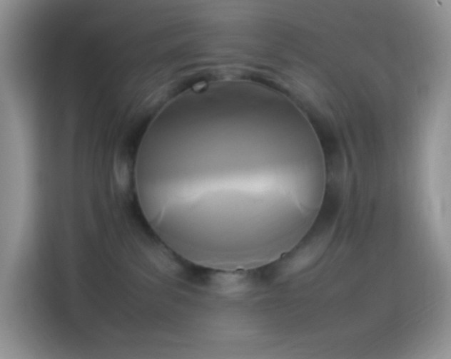 X0000114090139200910131304