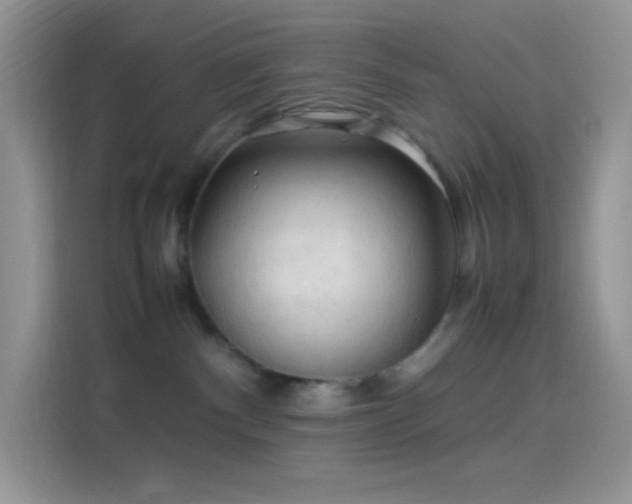 X0000114090140200910131304