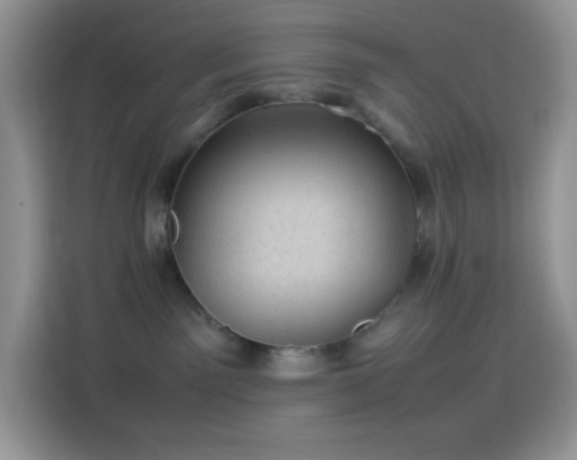 X0000114090141200910131304