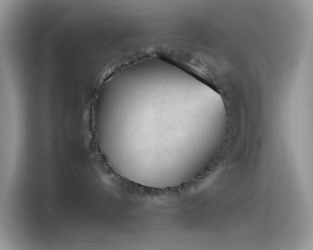 X0000114090144200910131304