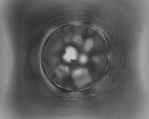 X0000114090145200910131303
