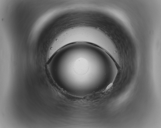 X0000114090146200910131303