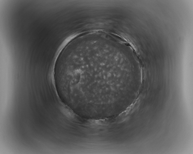 X0000114090147200910131303