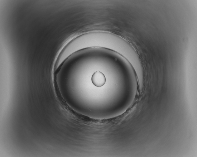X0000114090148200910131303