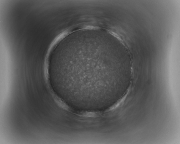X0000114090149200910131303