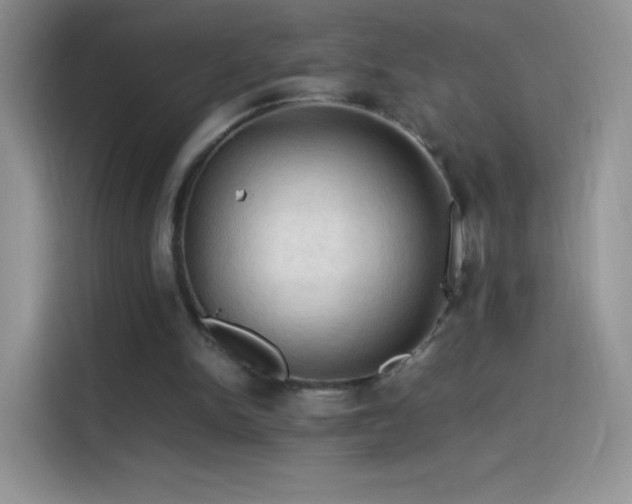 X0000114090150200910131303