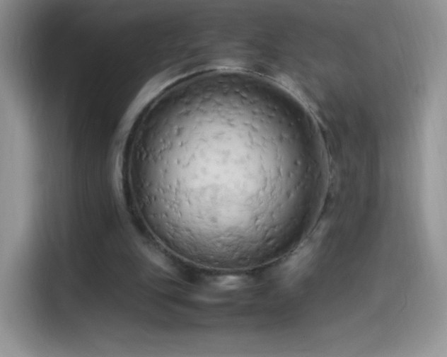 X0000114090151200910131303