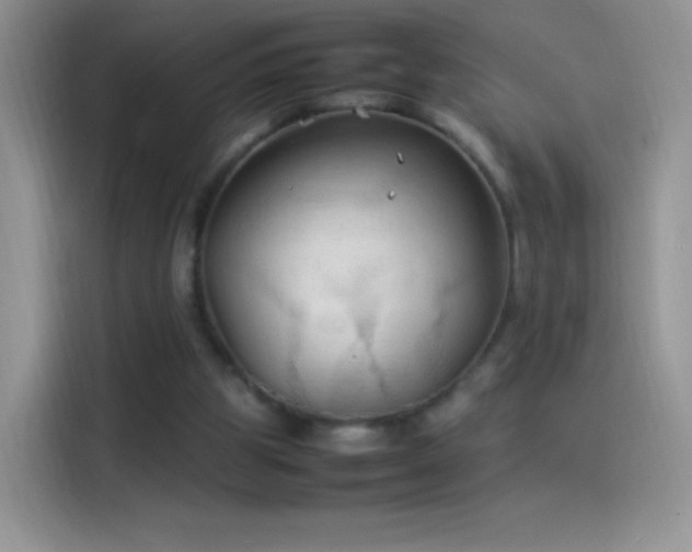 X0000114090153200910131303