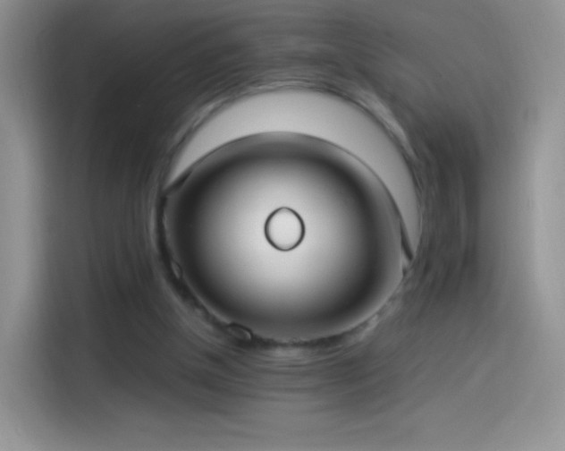 X0000114090154200910131303
