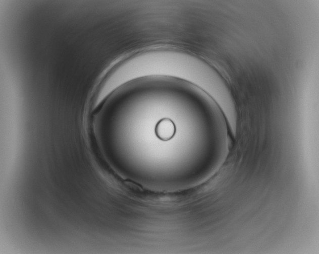 X0000114090156200910131304