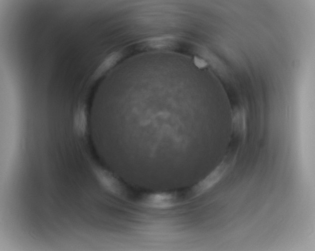 X0000114090158200910131304