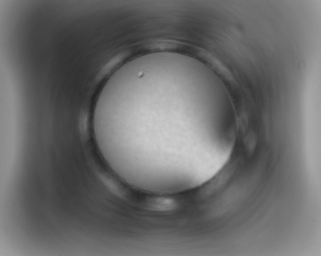 X0000114090159200910131304