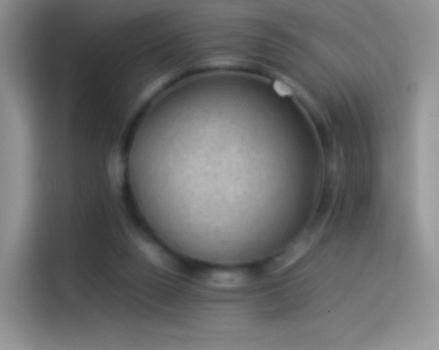 X0000114090160200910131304