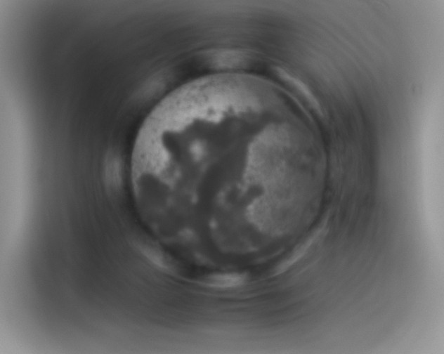 X0000114090161200910131304