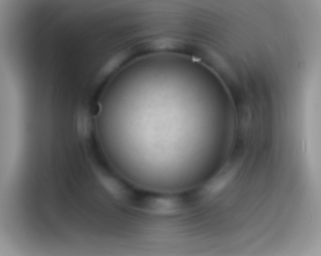 X0000114090164200910131304