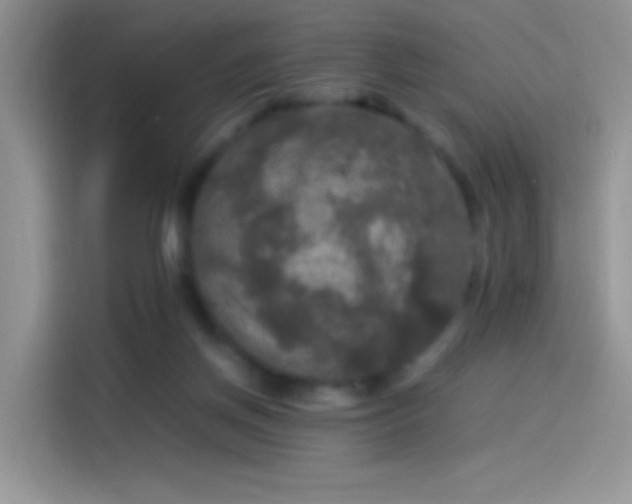 X0000114090166200910131304