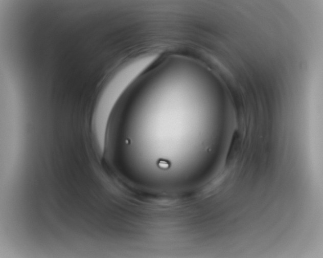 X0000114090168200910131304