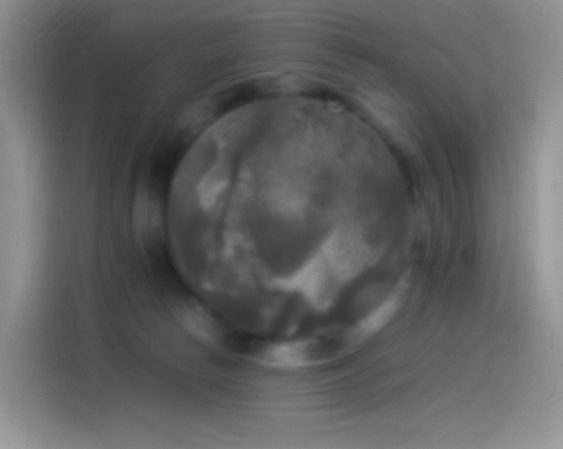 X0000114090178200910131304