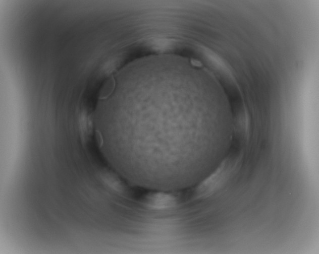 X0000114090180200910131304