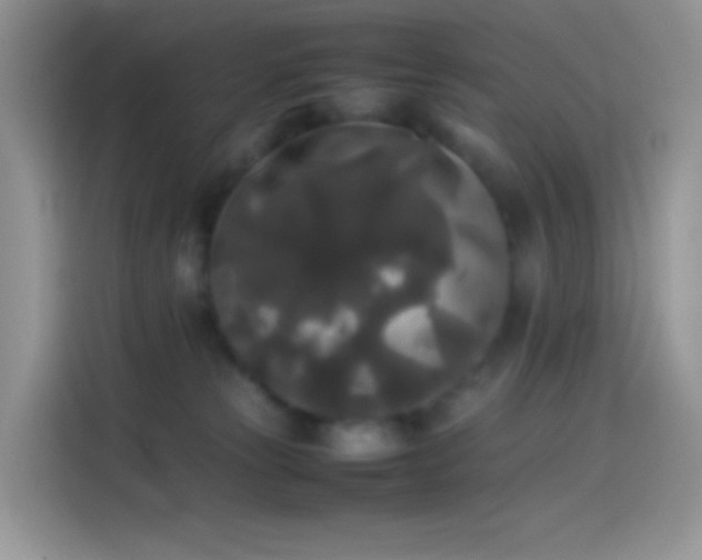 X0000114090181200910131304